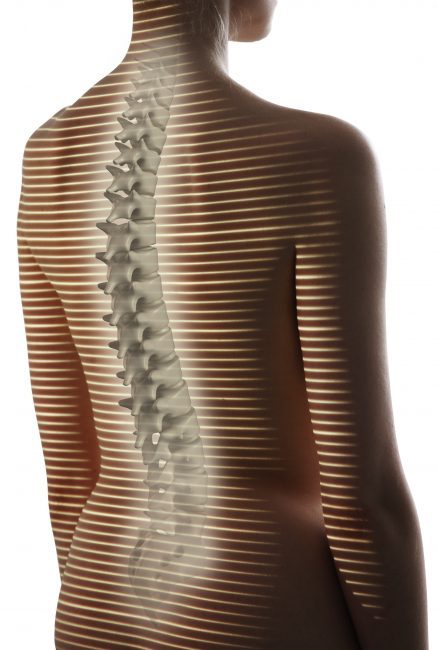 lightpattern_3Dspine_30x20cm-438x650-438x650